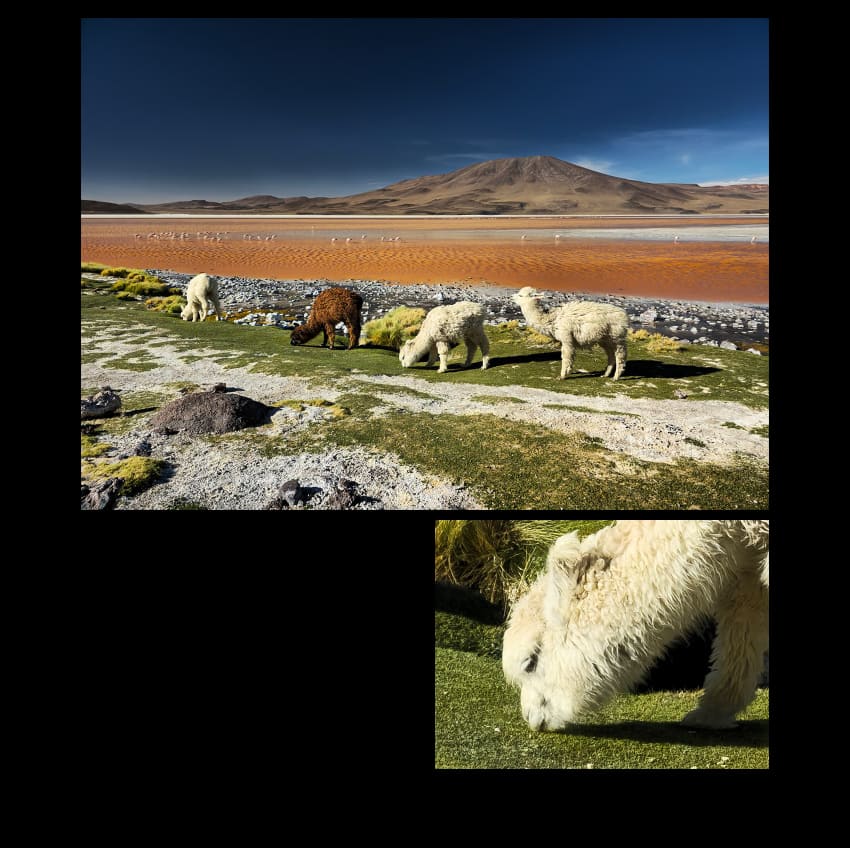 Samsung-S24-Ultra-gray